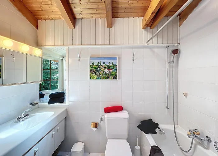 Joli-chalet 木屋 克莱恩 蒙塔纳